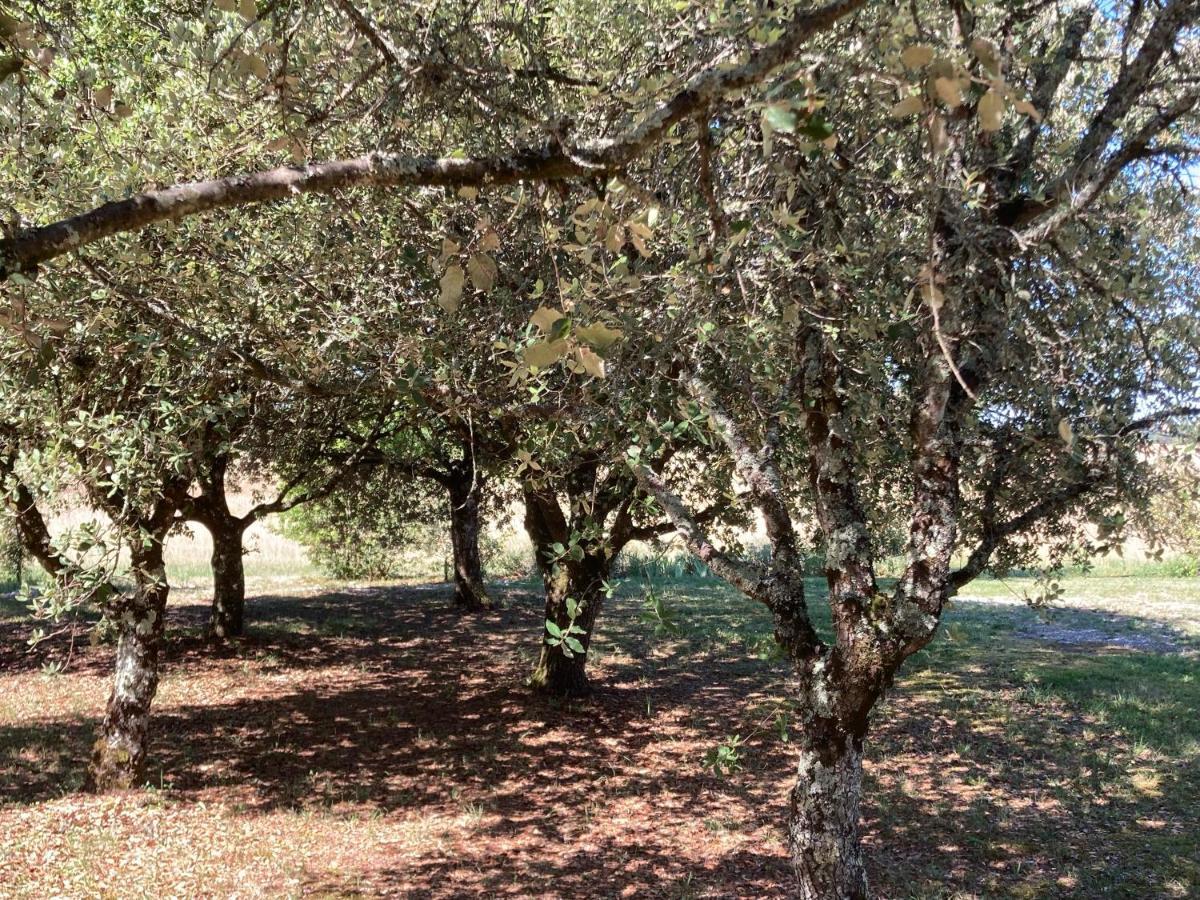 Issigeac Le Murmure Des Fees מראה חיצוני תמונה